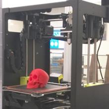 A red 3D printed skull is placed inside of a LulzBot Taz Mini 3D printer.
