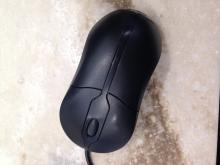 Computer Mice